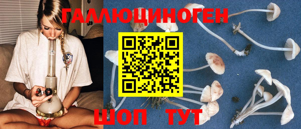 Галлюциногенные грибы Cubensis Новоалександровск