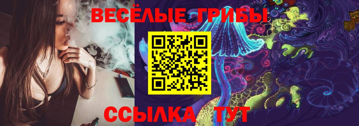 Новоалександровск  Псилоцибиновые грибы Magic Shrooms  цены наркотик  Вход с VPN  Галлюциногенные грибы Magic Shrooms 
